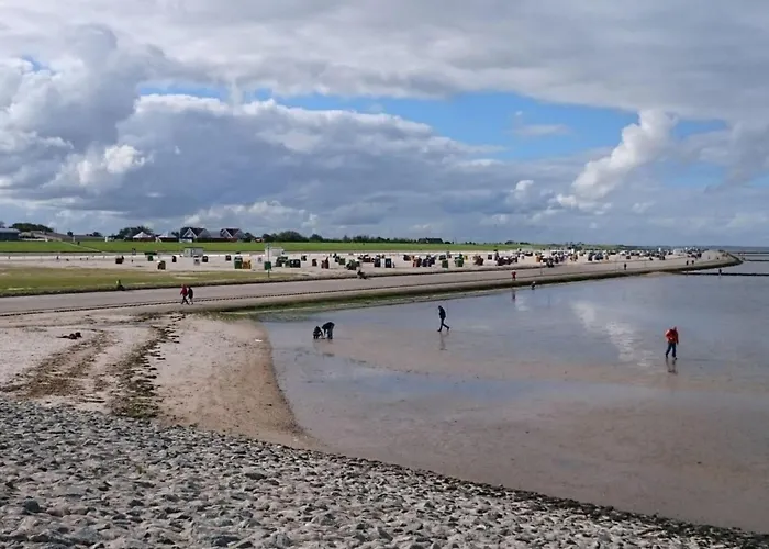 Semesterbostad Dyke Space 50 M To The Sea
